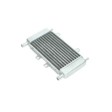 radiateur DMP past op runner, zip2000sp