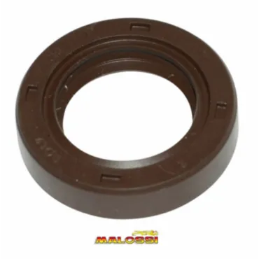 keerring malossi 19x30x7 669598b