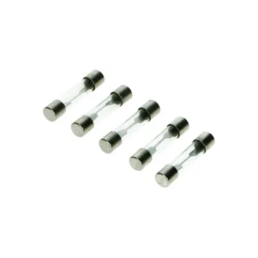 zekering mod. buis 30mm 10amp 5 stuks