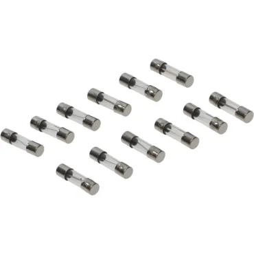 zekering mod. buis 25mm 10amp 12pcs