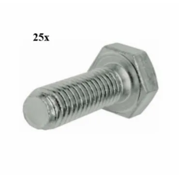 bout zeskant m5x30mm 25pcs