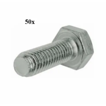 bout zeskant m6x10mm 50pcs