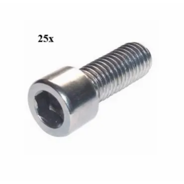 bout inbus m6x10mm 25pcs