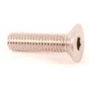 bout remschijf m8x30mm 10pcs