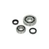 lager+keerringset DMP euro-2/4/5 A-kwaliteit C&U 20x60x13 past op sco piaggio 4T, sco piaggio 4t-2v, sco piaggio 4t-3v I-get, sc