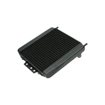 radiateur DMP 400/500 past op mp3