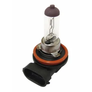 lamp 12V halogeen 35W h8 past op f12r lc, runner pro