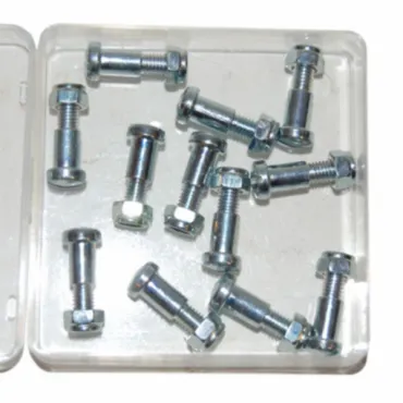 bout+moer remgreep kort mod. magura 5x18mm 10pcs