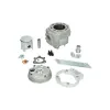 cil+kop polini set aluminium 93.4cc 52mm past op minarelli am6 133.1012