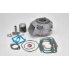 cilinder Italkit rotax 122 gilardoni 54mm past op rs125 ci.01.125.g