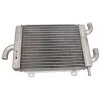 radiateur DMP orig model past op speedfight